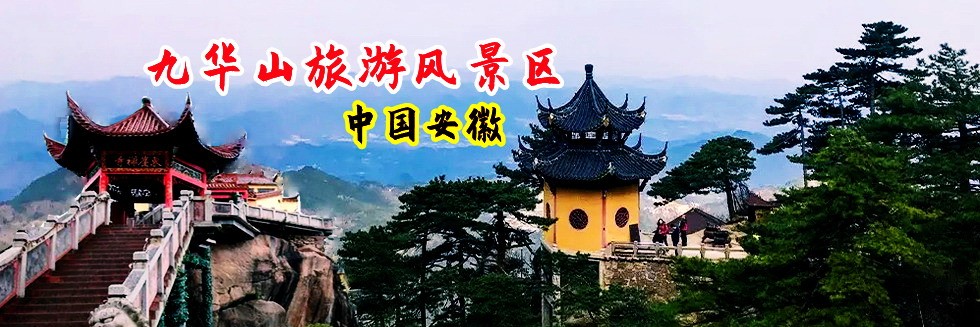 色屌网